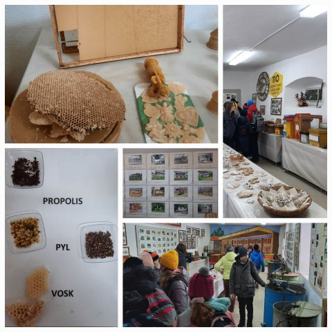 beekeeping open-air museum 3